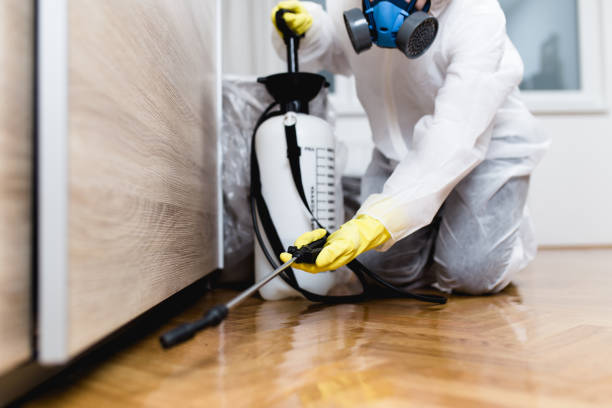 Wildlife Control Services in Youngwood, PA