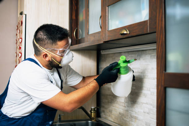Pest Prevention Services in Youngwood, PA